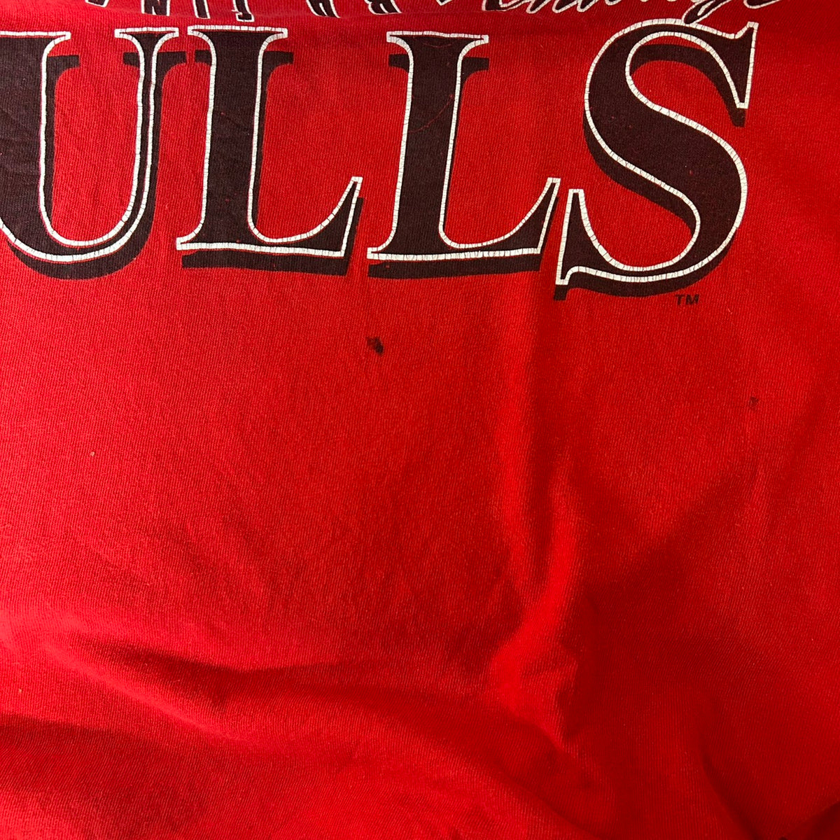 90's NBA CHICAGO BULLS LOGO 7 inc size XL MADE in USA